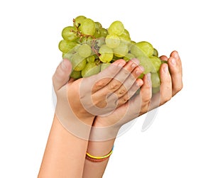 Grapevine as a gift of agriculture