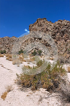 Grapevine Canyon - Nevada