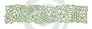 Grapevine floral ornament. Thick line pattern. Grape branches and leaves. Editable outline stroke. Vector line.