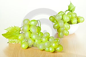 Grapevine and green grapes