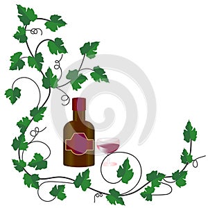 a grapevine with green leaves and a bottle of wine with a glass