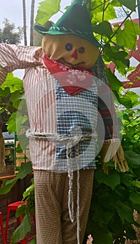 Grapevine Scarecrow