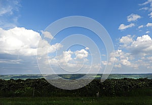 Grapevines grow on high land between Keuka Lake