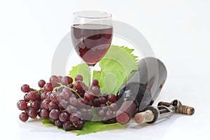 Grapewine