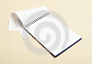 Graph paper notebook