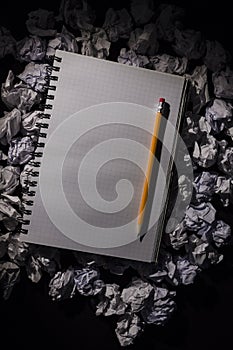 Graph paper notebook with pencil