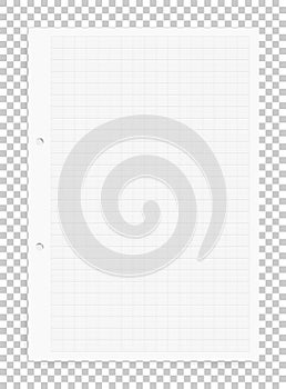 Graph paper sheet background on transparent background.