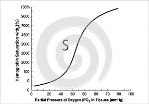 S affinity for oxygen increases with rising oxygen pressure, a