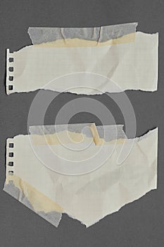 Graph torn paper with adhesive tape, scraps of paper on sticky tape, gray background