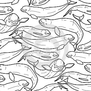 Graphic beluga whale pattern