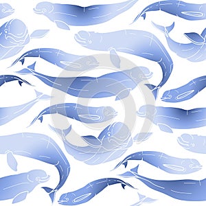 Graphic beluga whale pattern