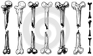 Graphic black and white broken bones vector set