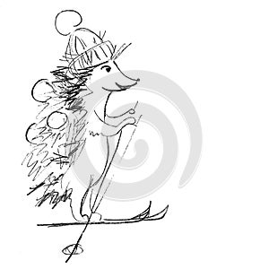 Graphic black and white drawing hedgehog skiing with apples on thorns