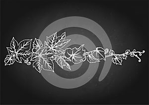 Graphic branch with grape leaves and curly elements