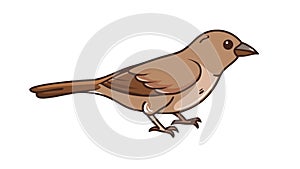 Graphic of a brown sparrow bird, symbolizing nature and common wildlife , vector design Generative AI photo