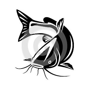 Graphic catfish, vector photo