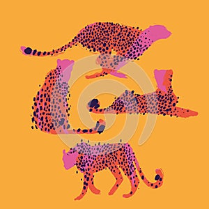 Graphic collection of cheetahs drawn with rough brush