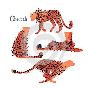 Graphic collection of cheetahs drawn with rough brush