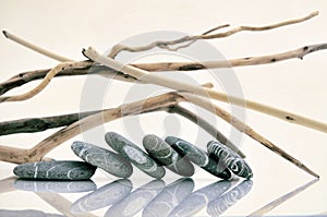 Graphic composition with driftwood and pebbles