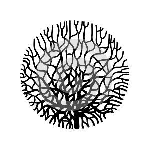 Graphic coral circle