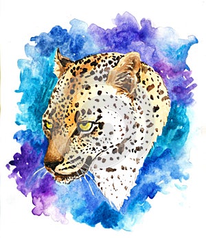 Leopard head. Illustration of a leopard head. Neon background element a leopard head photo