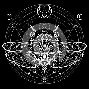 Graphic decorative image of the Mantis. Alchemical circle of transformations.