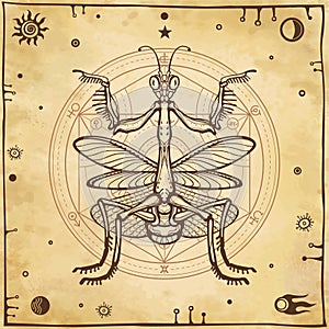 Graphic decorative image of the Mantis. Alchemical circle of transformations. Esoteric, Mysticism, Sorcery.