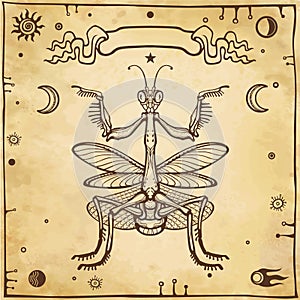 Graphic decorative image of the Mantis. Mantis. Esoteric, Mysticism, Sorcery. Background - imitation of old paper.