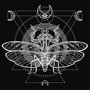 Graphic decorative image of the Mantis. Sacred geometry. Esoteric, Mysticism, Sorcery.