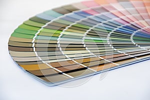 Graphic designers choose colors from color range swatches for design. Designer graphic creativity working concept.