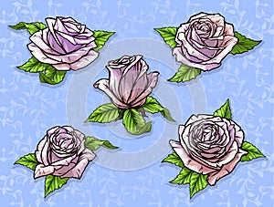Graphic detailed cartoon rose bud vector set