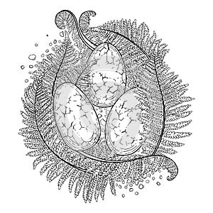 Graphic dinasaur eggs