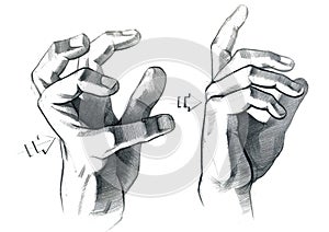 Graphic drawing with a graphite pencil of hands with different gestures of fingers.