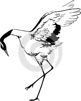 Graphic drawn crane