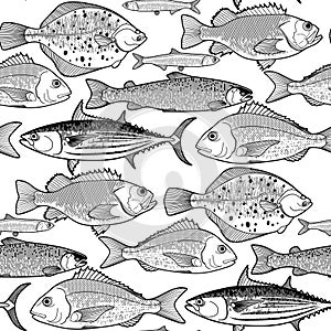 Graphic fish pattern