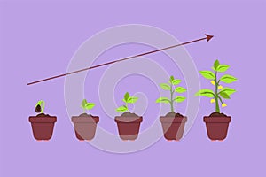 Graphic flat design drawing infographic of planting tree. Seeds sprout in pot or ground. Seedling gardening plant. Sprouts, plants