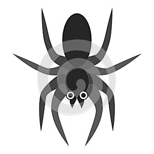 Graphic flat scary spider for Halloween design