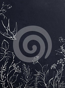 Graphic floral illustration - black & white inked flowers frame / border / header with swallow bird on navy textured background