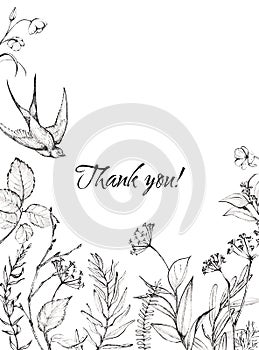 Graphic floral illustration - black & white inked flowers frame / border / header with swallow bird