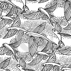 Graphic flying fish pattern