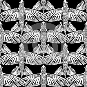 Graphic flying fish pattern