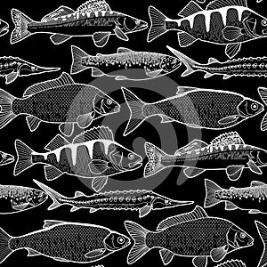 Graphic freshwater fish pattern