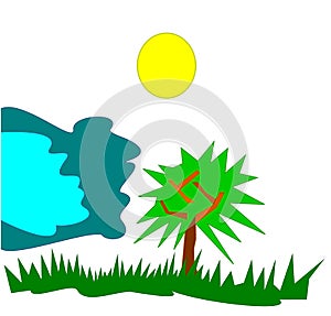 Graphic Garden View photo