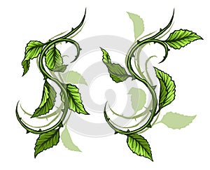 Graphic green rose branch with leaves and thorns