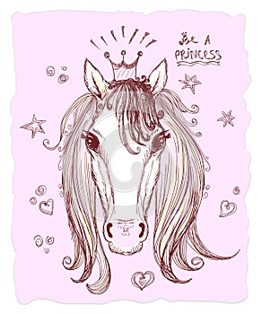 Graphic horse head, portrait hand drawn illustration