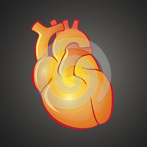 Graphic illustration of Heart
