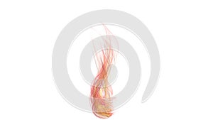 graphic illustration a red flame