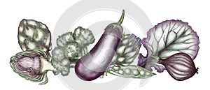 Graphic illustration of a vegetable border, hand-drawn. Design for print recipe, restaurant menu, cookbook, poster, postcard,