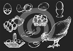 Graphic illustrations of poultry farm goods in vector. Hand drawn set of hennery production in engraving style.