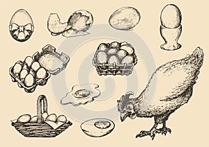 Graphic illustrations of poultry farm goods in vector. Hand drawn set of hennery production in engraving style.